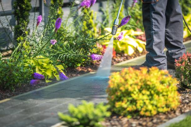 Reliable Sandersville, GA Pressure Washing Services Solutions